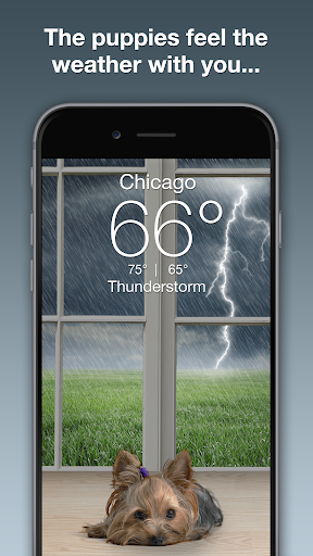 Weather Puppy – App amp Widget Weather Forecast mod screenshots 2