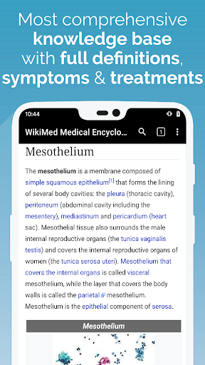 WikiMed – Offline Medical Encyclopedia mod screenshots 3