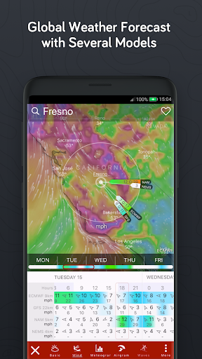 Windy.com – Weather Radar Satellite and Forecast mod screenshots 4
